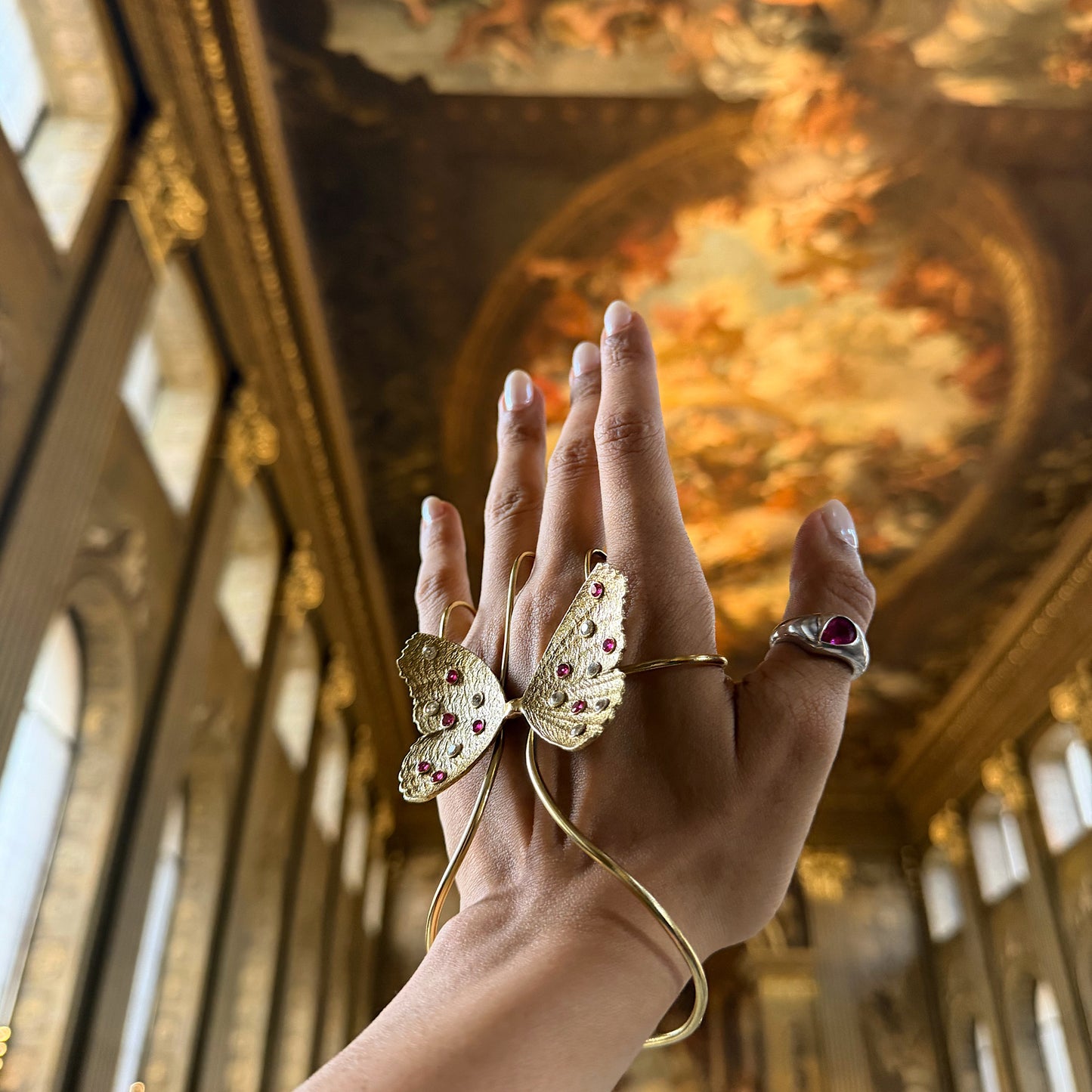 Titli hand harness